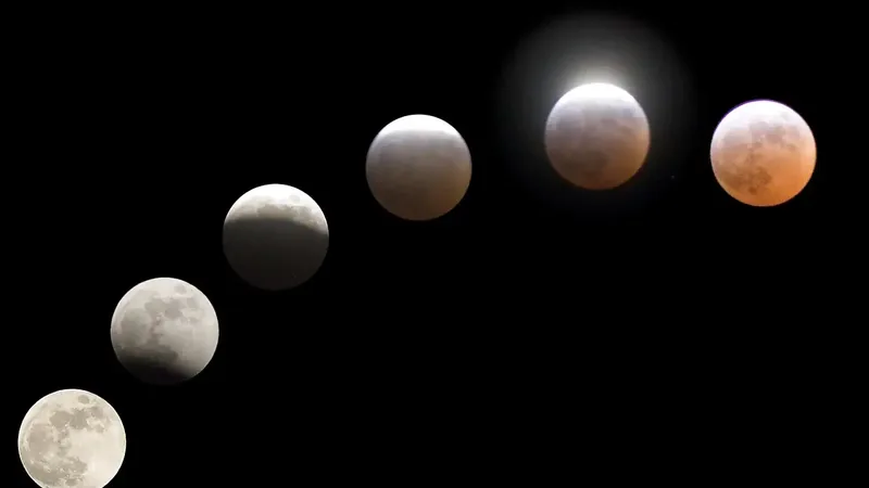 Calendrier lunaire jardinage — pleine lune au-dessus du potager biodynamique